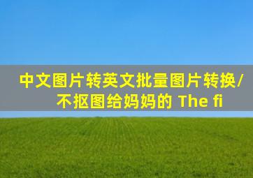 中文图片转英文批量图片转换/不抠图给妈妈的 The fi